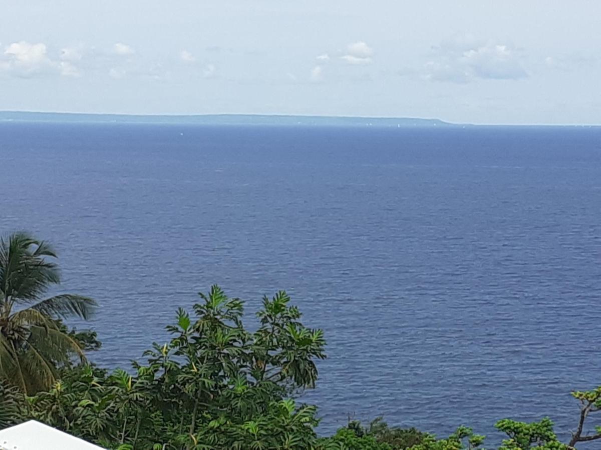 Awmony'Kaz, Gite A Trois-Rivieres Guadeloupe Buitenkant foto