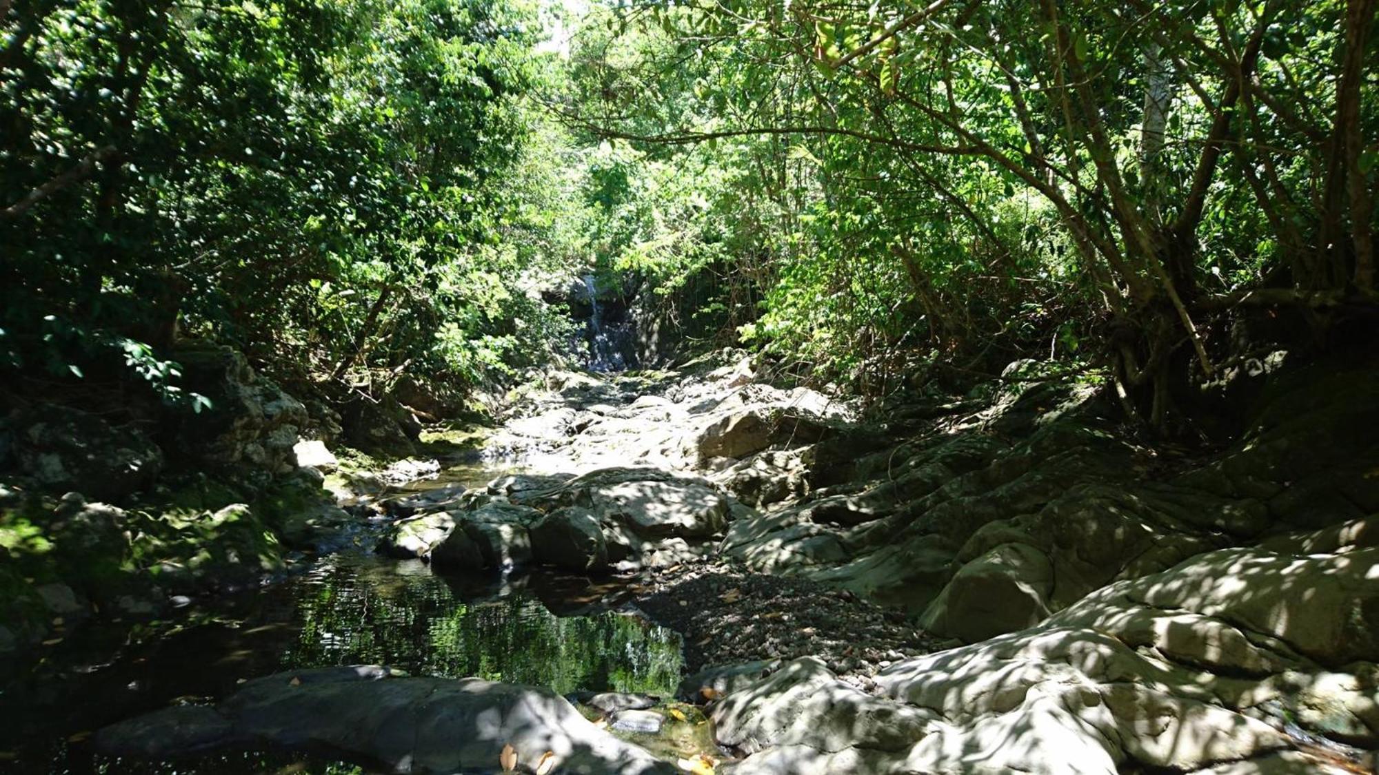 Awmony'Kaz, Gite A Trois-Rivieres Guadeloupe Buitenkant foto