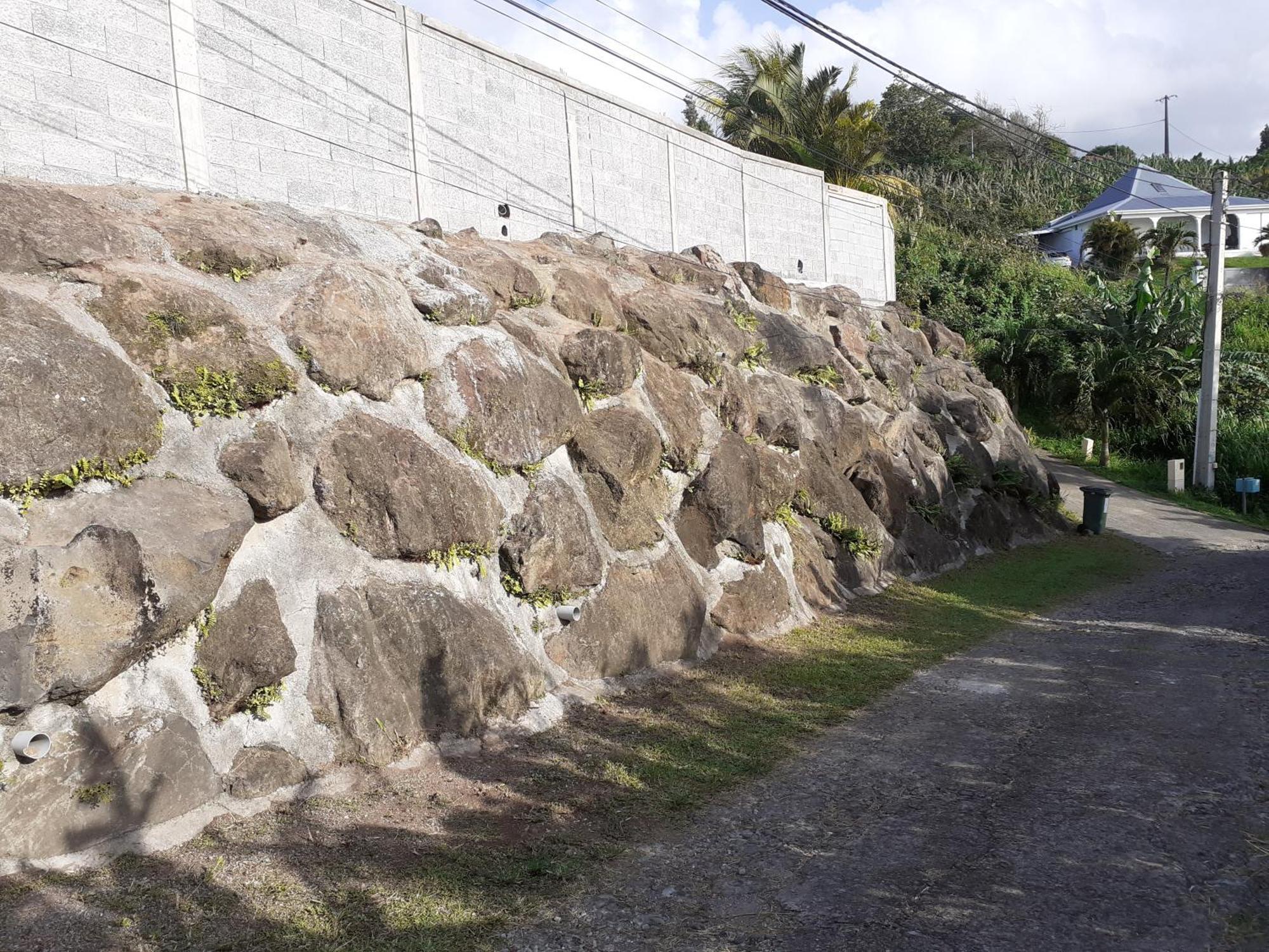 Awmony'Kaz, Gite A Trois-Rivieres Guadeloupe Buitenkant foto