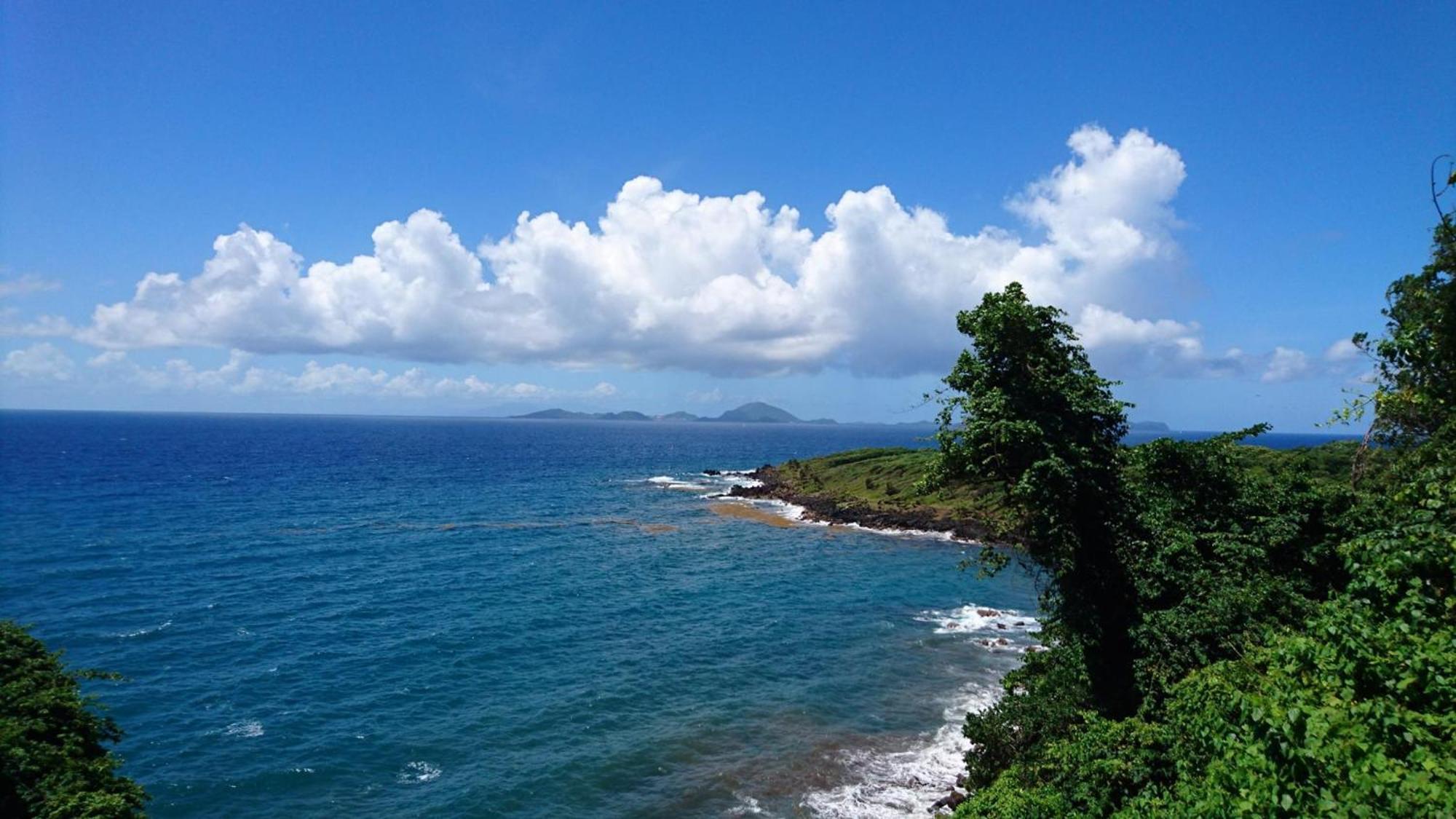 Awmony'Kaz, Gite A Trois-Rivieres Guadeloupe Buitenkant foto