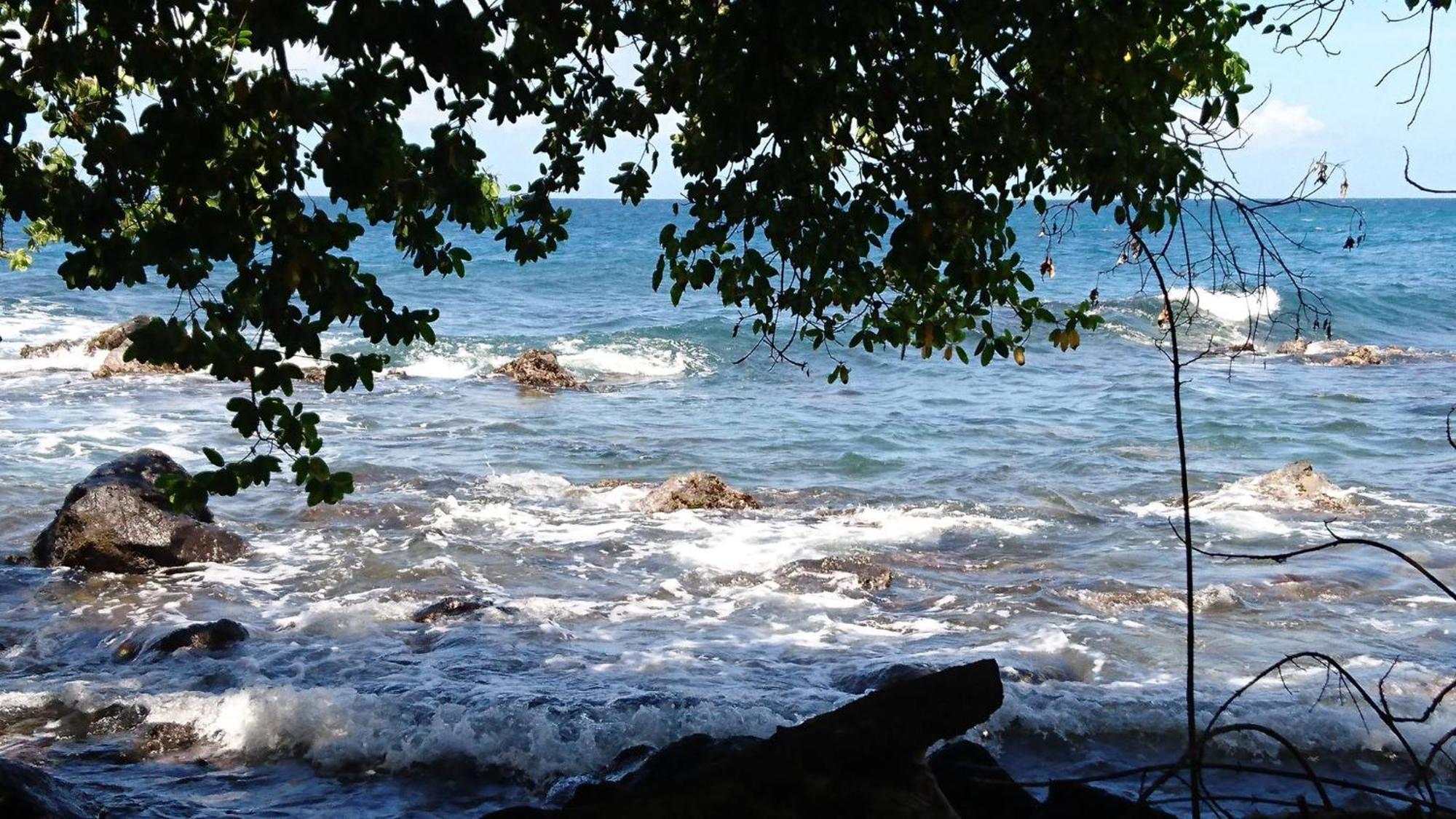 Awmony'Kaz, Gite A Trois-Rivieres Guadeloupe Buitenkant foto