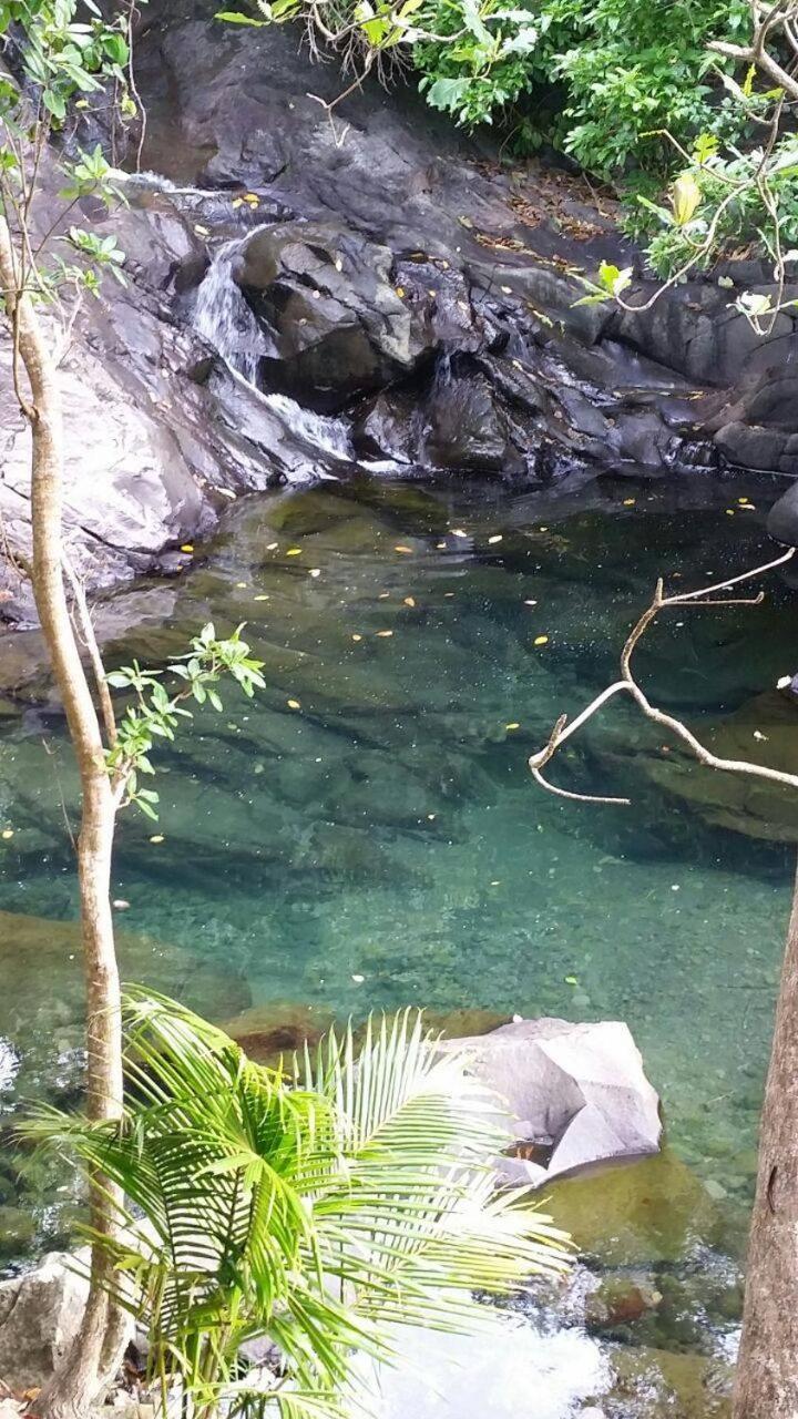 Awmony'Kaz, Gite A Trois-Rivieres Guadeloupe Buitenkant foto